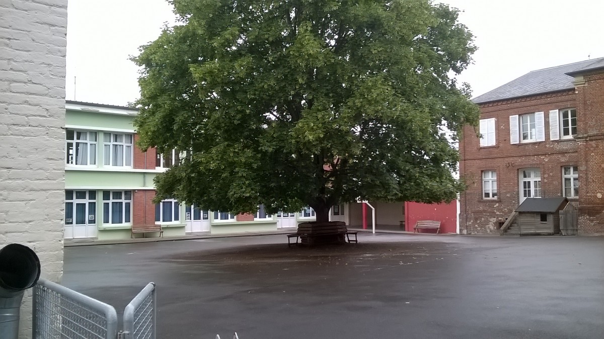 Ecole victor hugo de Cambremer cour en été